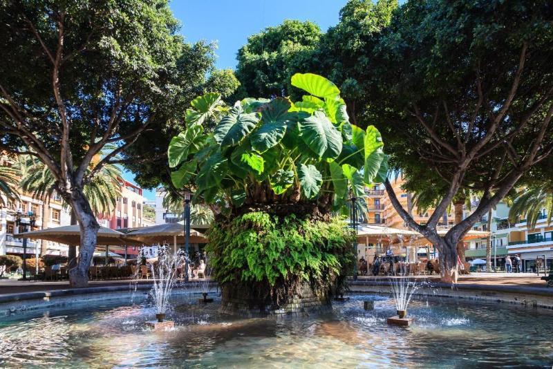 Dwo Nopal Hotel Puerto de la Cruz  Exterior photo